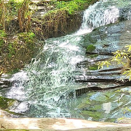 Luxury Cabin With Waterview And Privacy, Hiking بلو ريدج المظهر الخارجي الصورة
