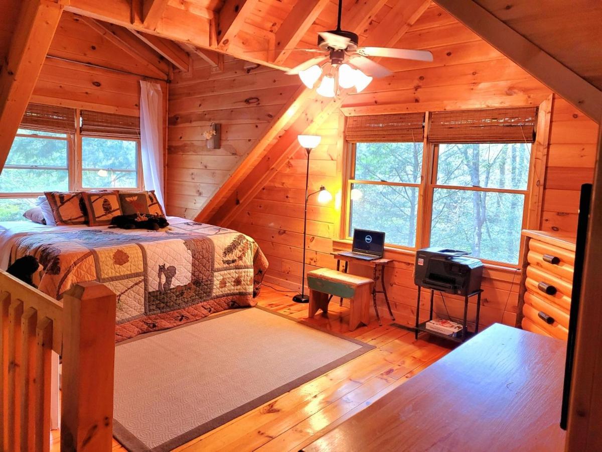 Luxury Cabin With Waterview And Privacy, Hiking بلو ريدج المظهر الخارجي الصورة