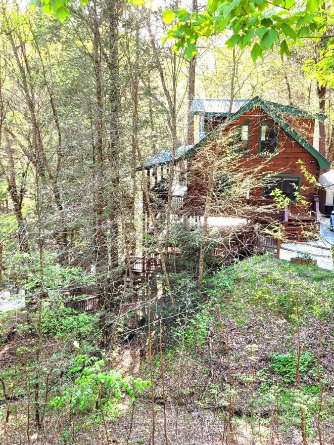 Luxury Cabin With Waterview And Privacy, Hiking بلو ريدج المظهر الخارجي الصورة